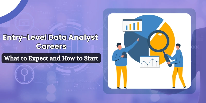 Entry-level data analyst